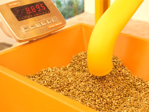 Cân nạp liệu