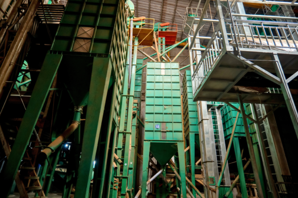 các silo chứa cà phê nhân cho hệ thống máy rang