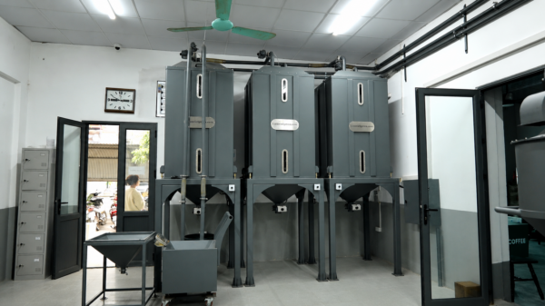 Hệ thống silo lưu trữ và cấp liệu cà nhân tại Liên Việt Green